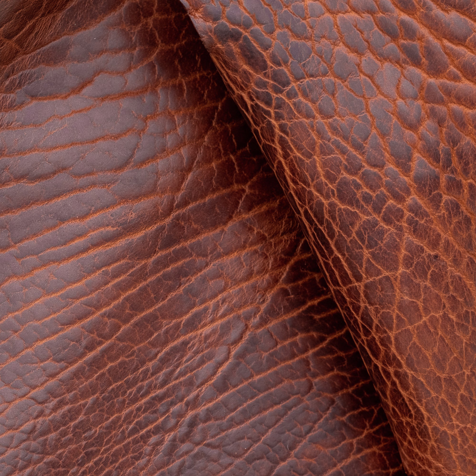 Saddle Leather Recover Kit / Wide