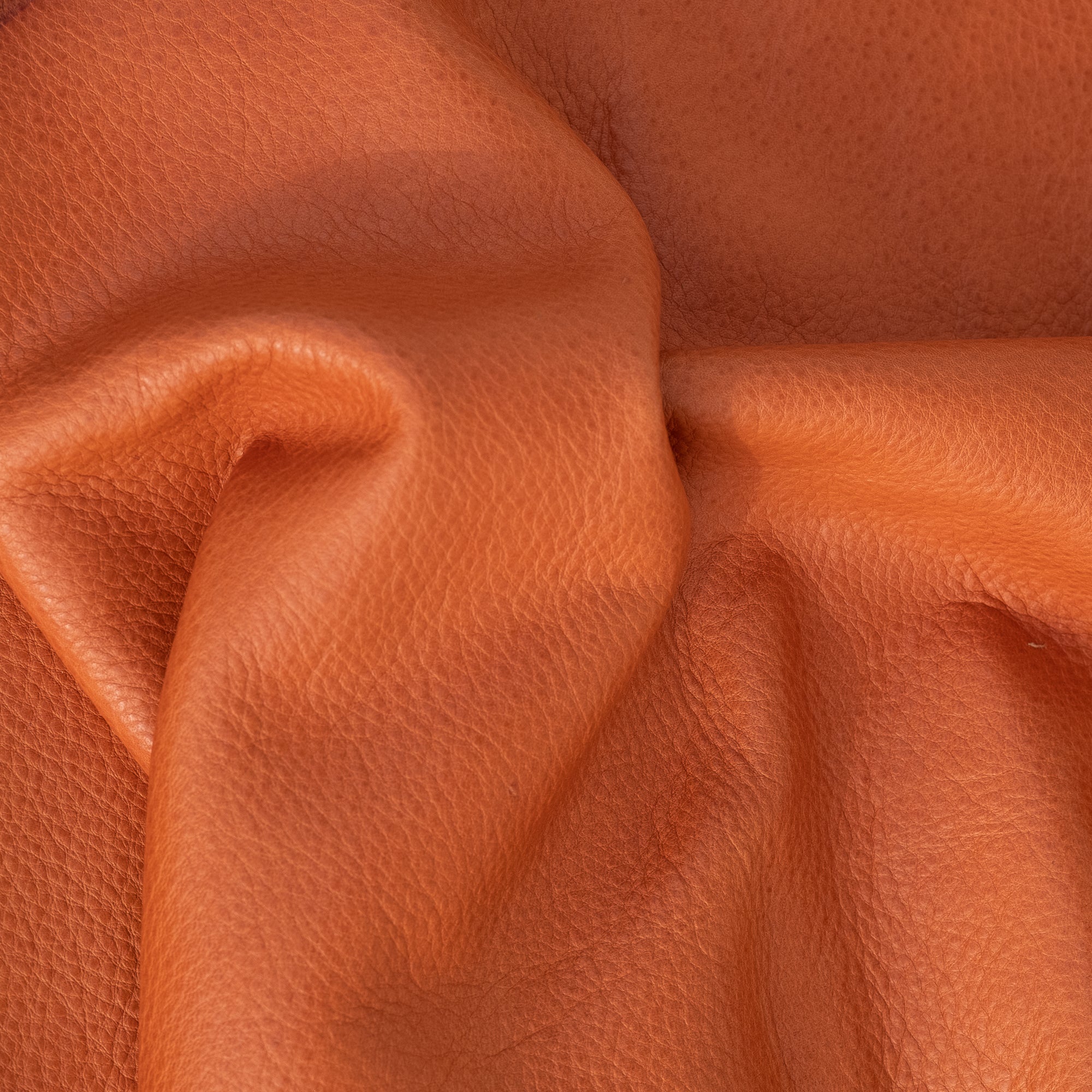 Saddle Leather Recover Kit / Basic